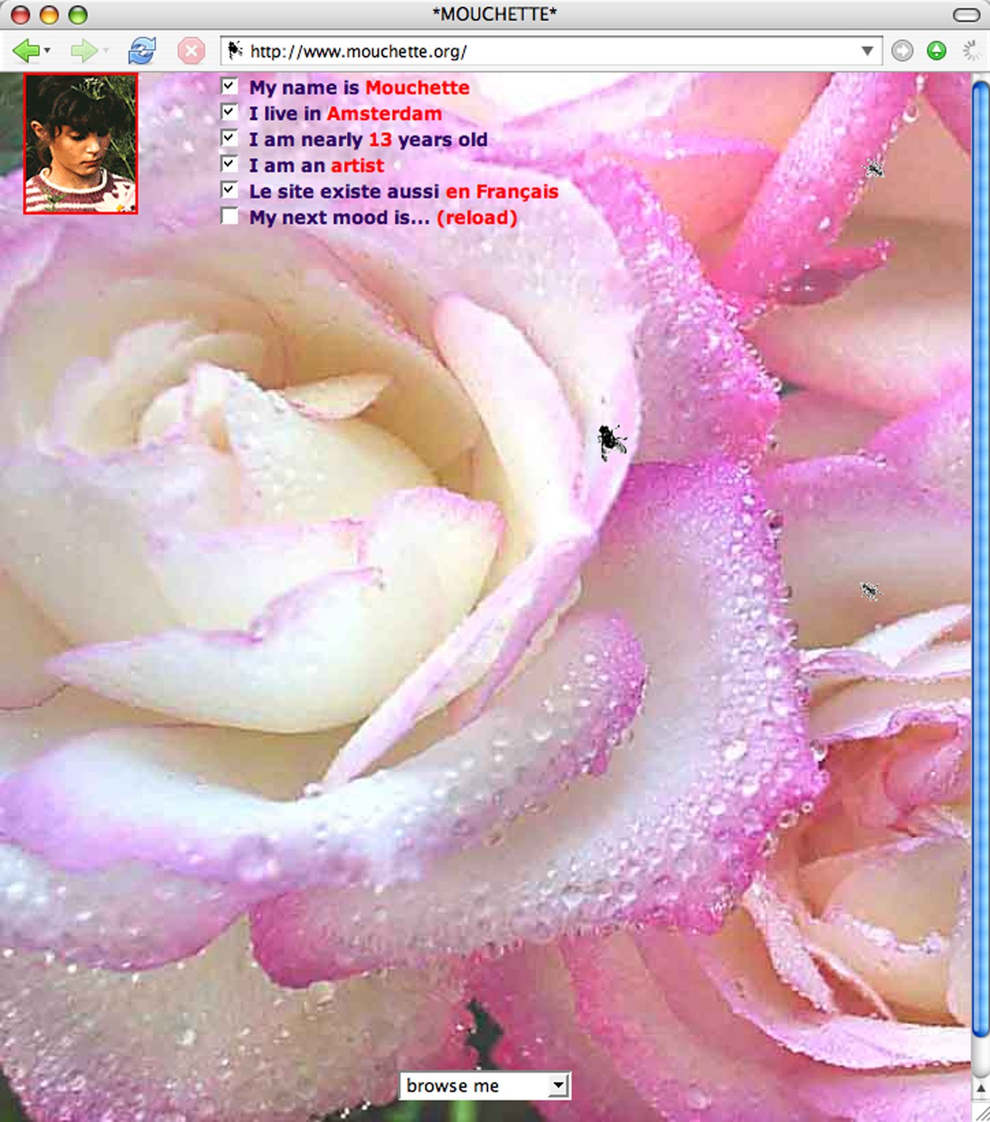 Mouchette.org, 1996-ongoing
