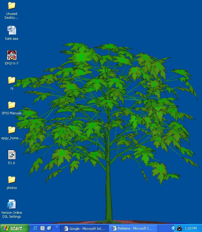 A-trees, 1999