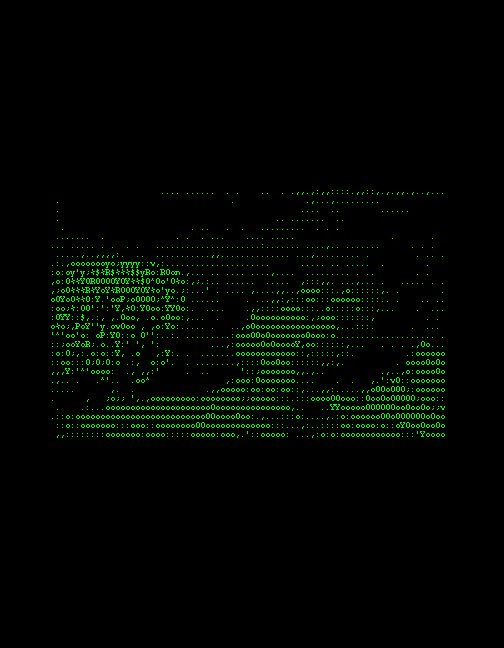 ASCII History of Moving Images, 1999